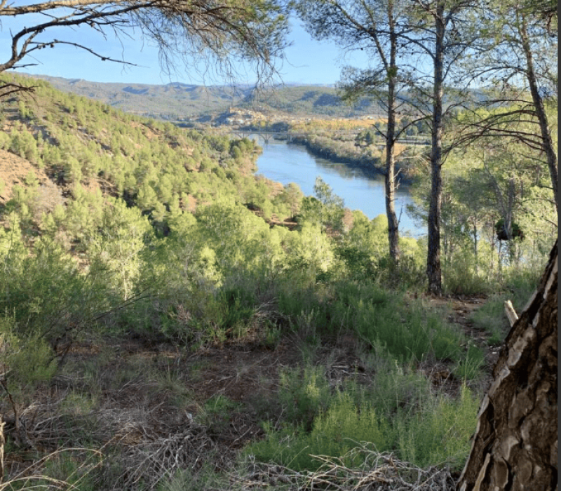 Captura de pantalla 2026-03-25 103418