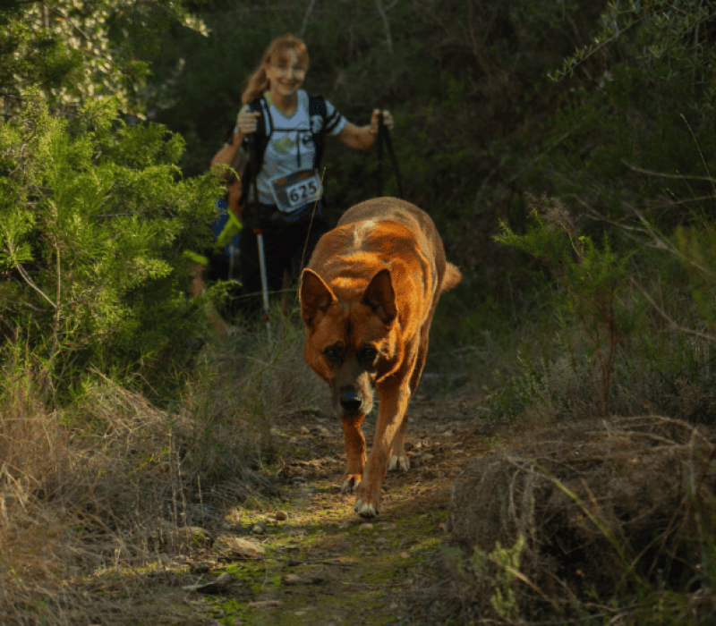 Captura de pantalla 2026-03-25 104206