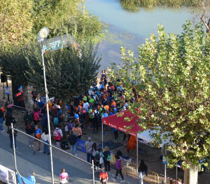 Captura de pantalla 2026-03-25 174141