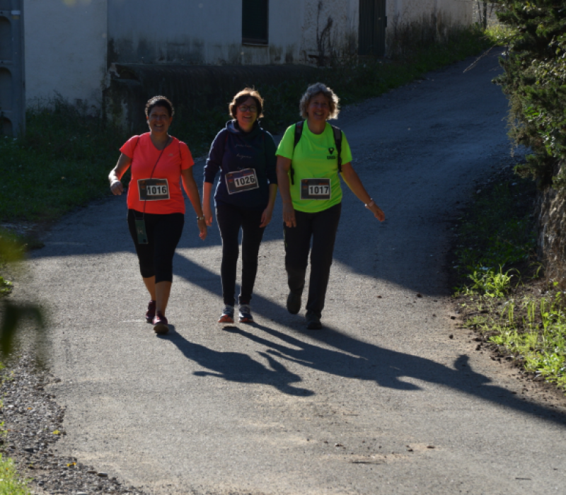 Captura de pantalla 2026-03-25 174352