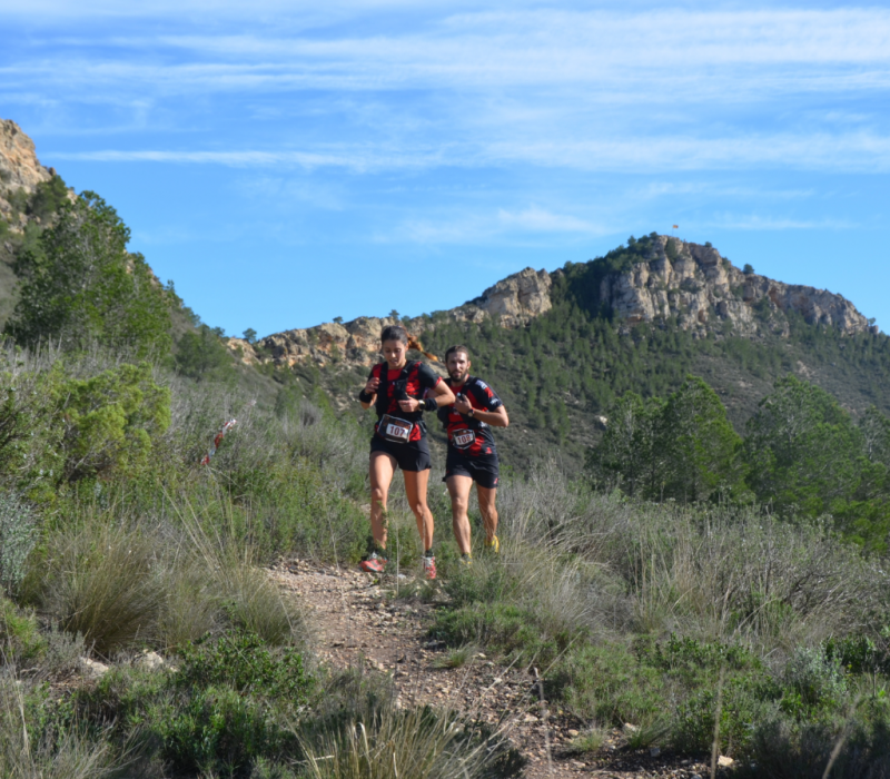 Captura de pantalla 2026-03-25 175031