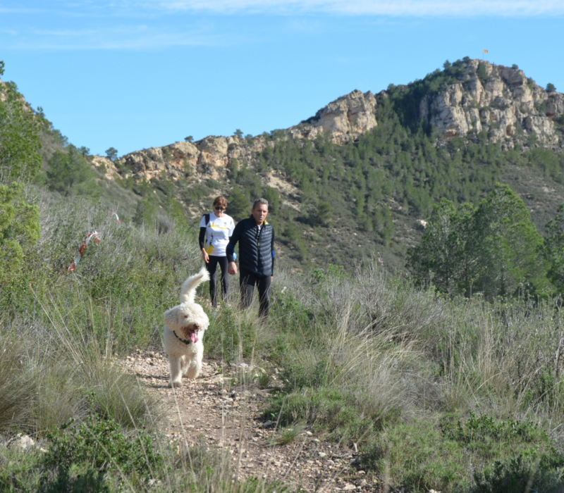 Captura de pantalla 2026-03-25 175136