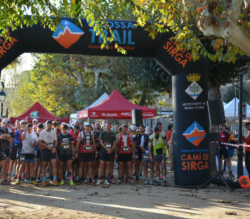 Captura de pantalla 2026-03-25 175450